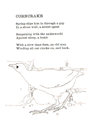 "Corncrake" Spring slips him in through a gap In a stone wall, a secret agent Bargaining with the underworld Against sleep, a bomb With a slow time-fuse, an old man Winding all our clocks on, and back.