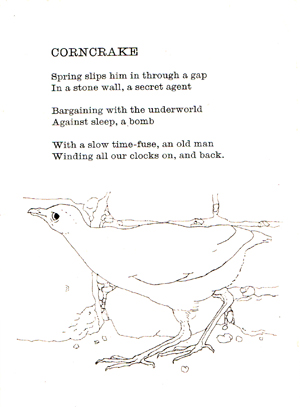 Corncrake-Sycamore-Press-Postcard "Corncrake" Spring slips him in through a gap In a stone wall, a secret agent Bargaining with the underworld Against sleep, a bomb With a slow time-fuse, an old man Winding all our clocks on, and back.