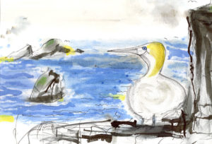 'Gannet's Eye View' by Andrew McNeillie